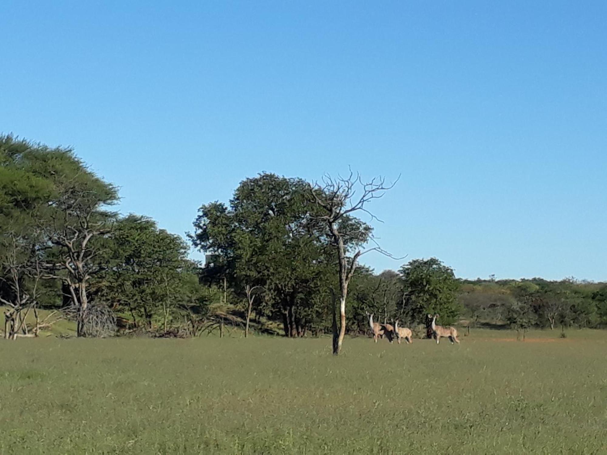 Onduri Lodge Outjo Exterior photo